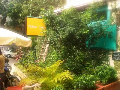 Reaffirmation: Yellow Tree, Bandra