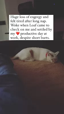 When love strays into your life. #adoptdontshop