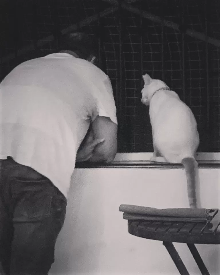The catfather gulley boy rap…JLT