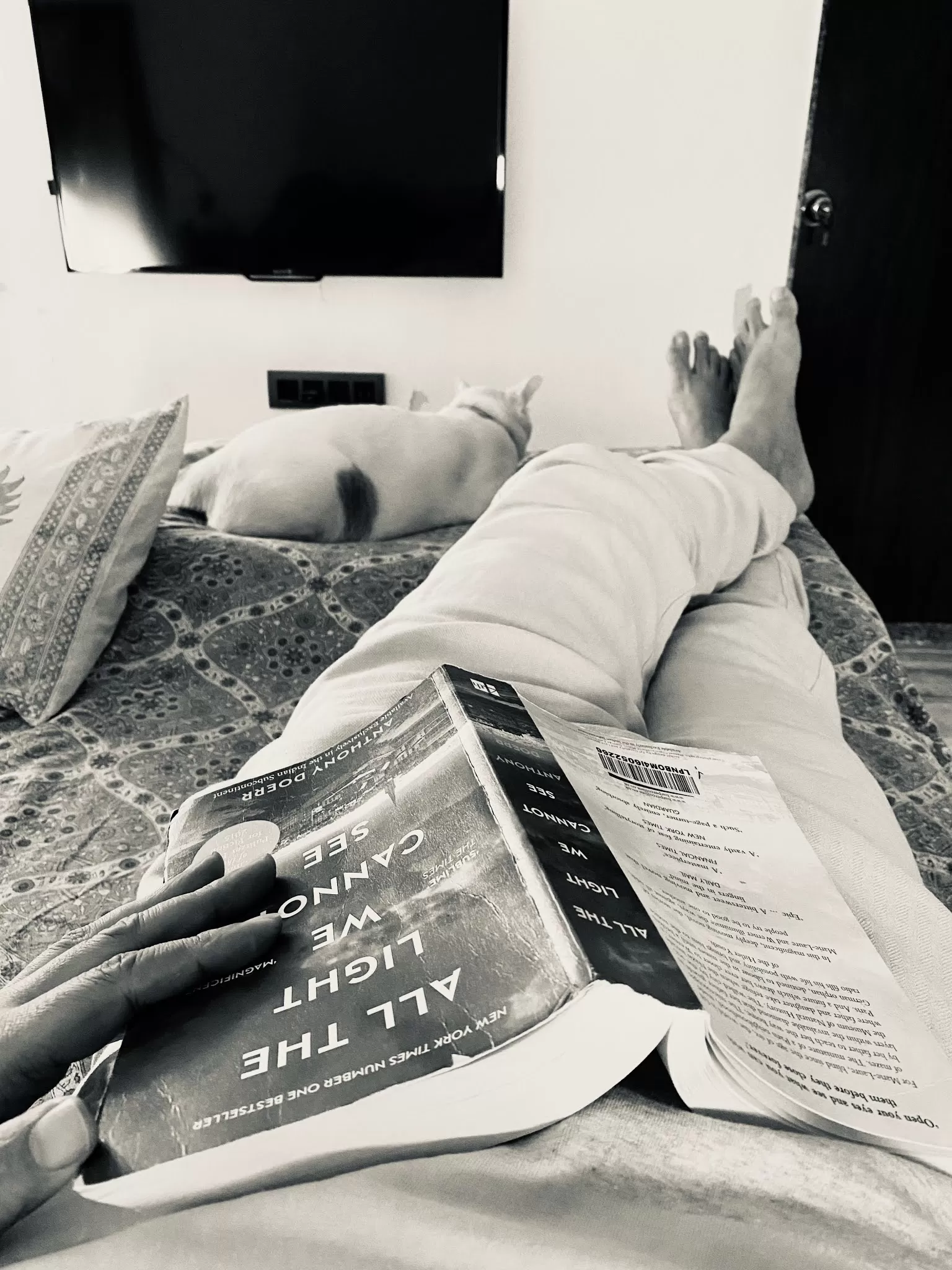 How I survived 120 hours of social media wilderness. The secret life of a food blogger.