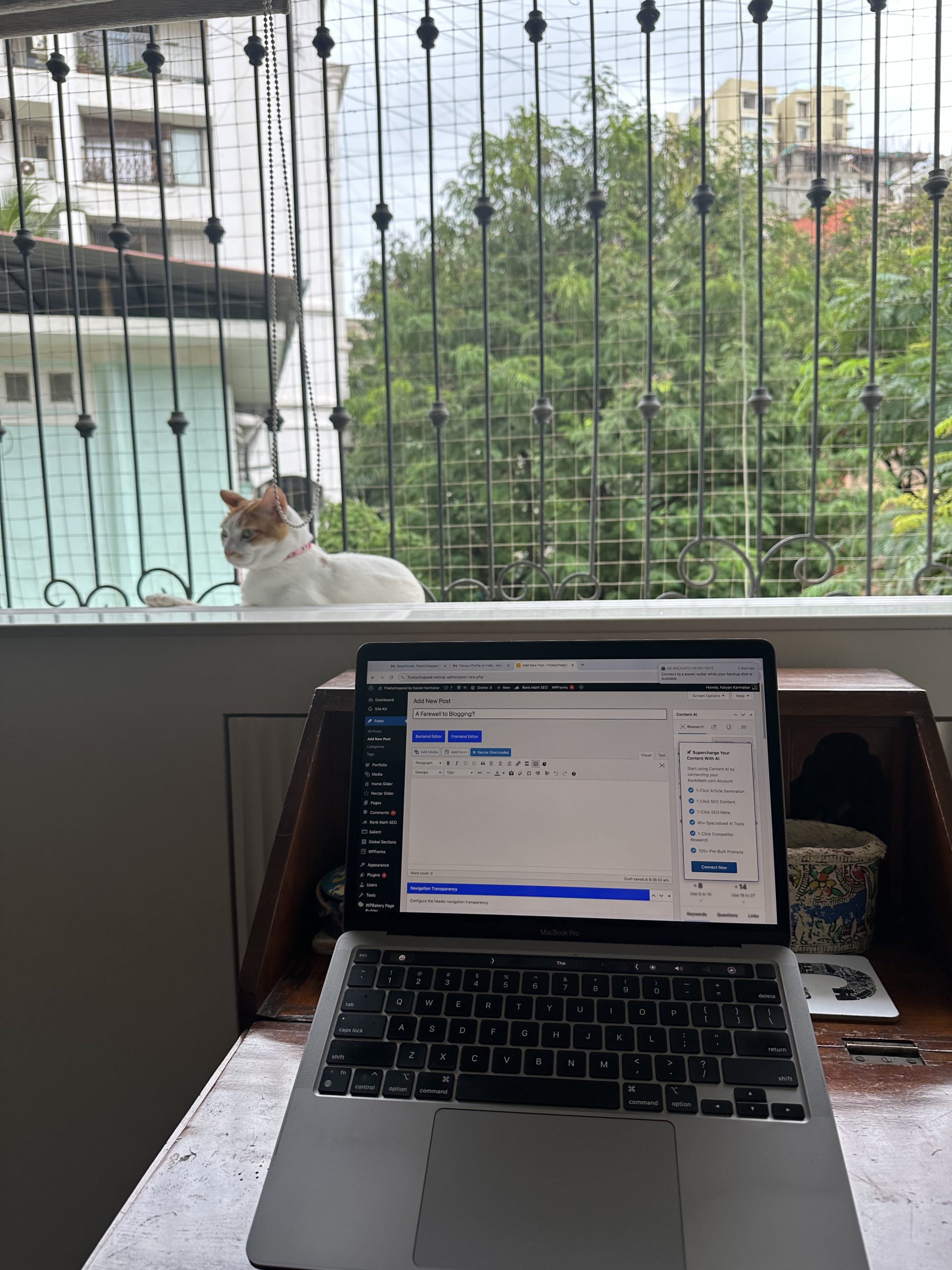 A Farewell to Blogging?