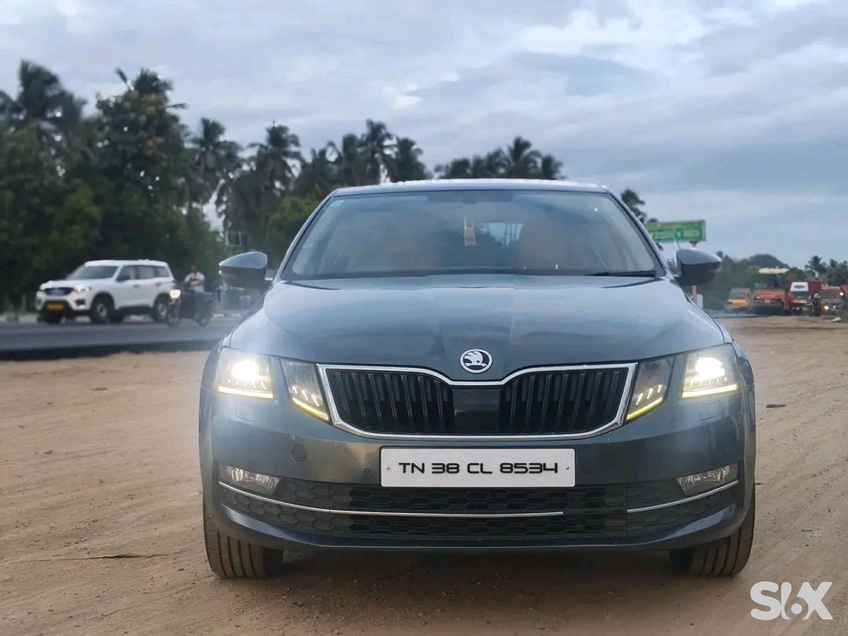 SKODA Octavia lk Used cars in Brand-skoda