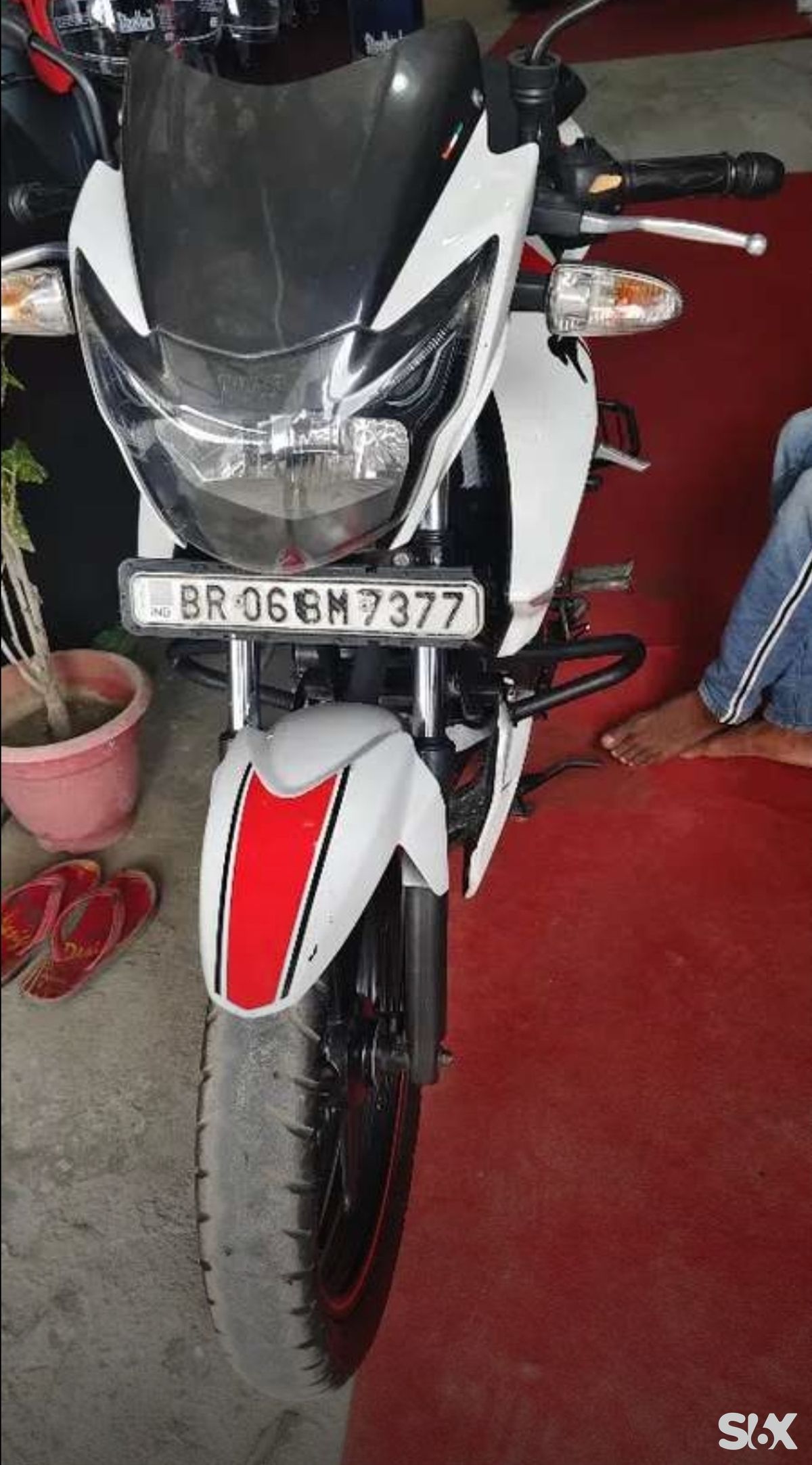 TVS Apache RTR 160 4V disc Used bikes in Brand-tvs